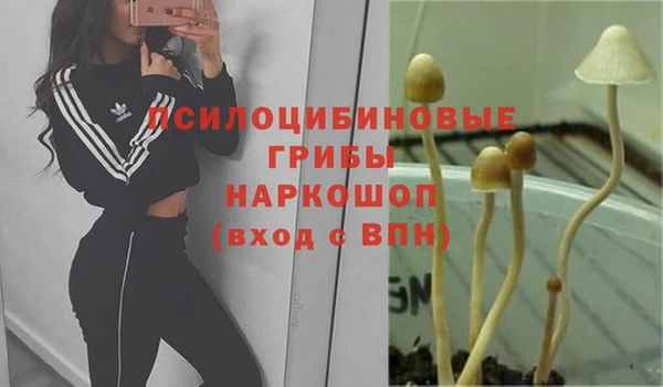 винт Заволжск